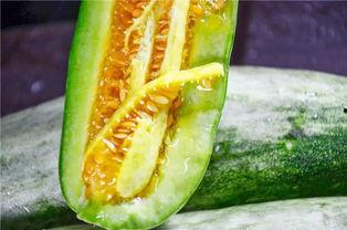 吃瓜网红有哪些,吃瓜网红的崛起与影响力 第3张 吃瓜网红有哪些,吃瓜网红的崛起与影响力 第3张